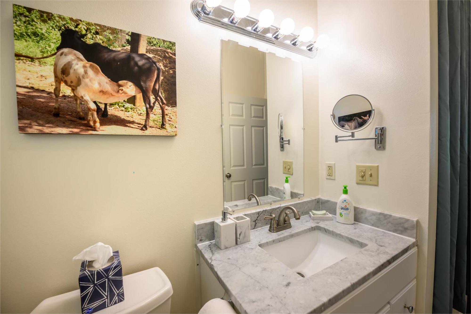 Blue House - Private 2 Bed, 2 Bath With Garage * Eugene